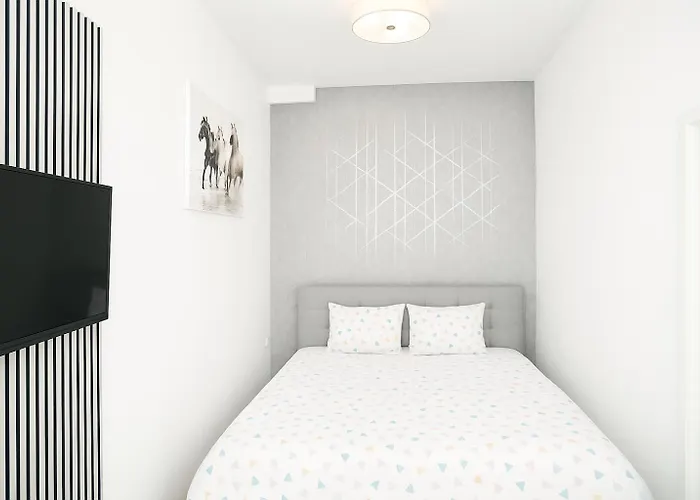 City Flat D